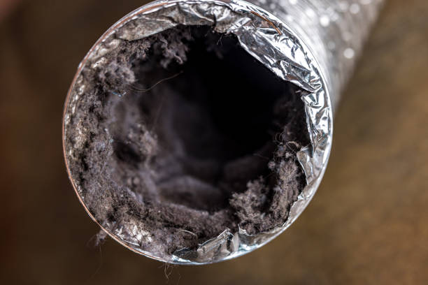 Best Best Air Duct Cleaning Company  in Annapolis Neck, MD