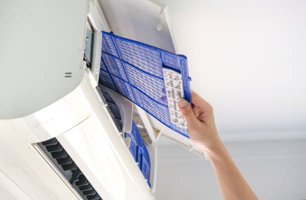Best Ductwork Cleaning Services  in Annapolis Neck, MD